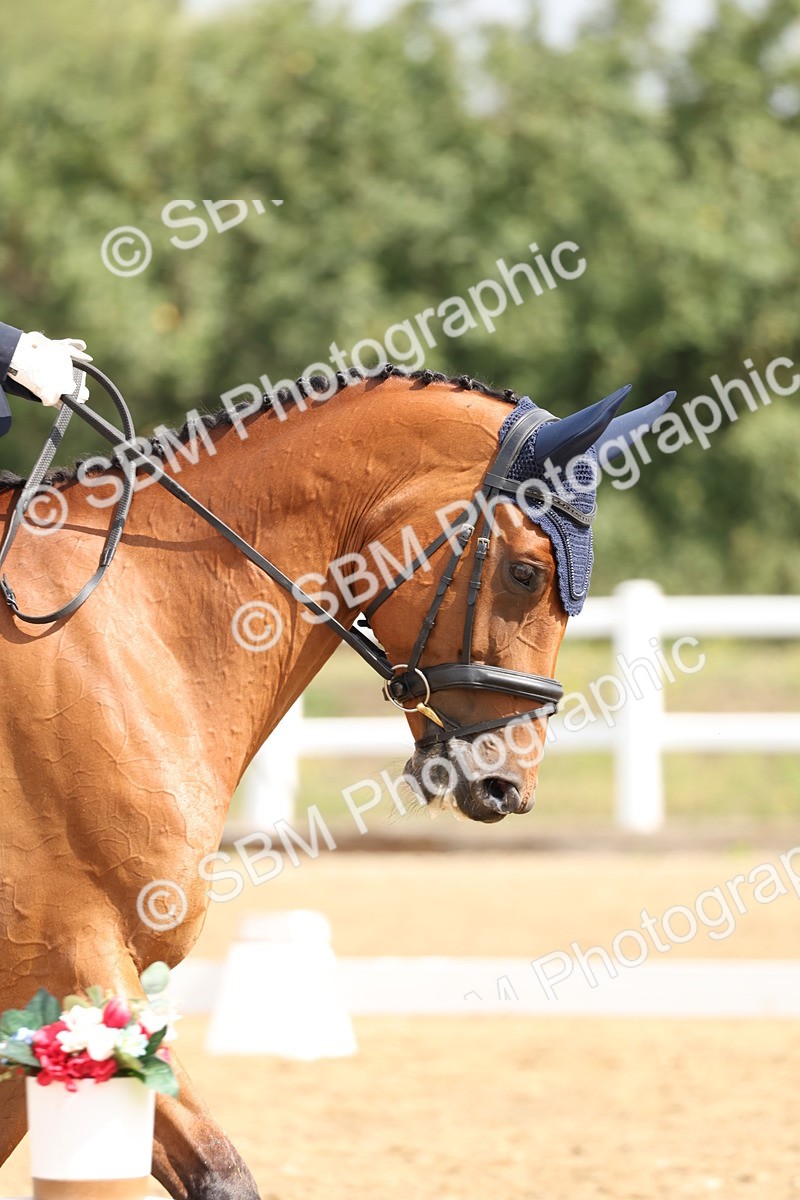 SBM_005747 - Class 6 - Novice 6 - 10.26-11.29