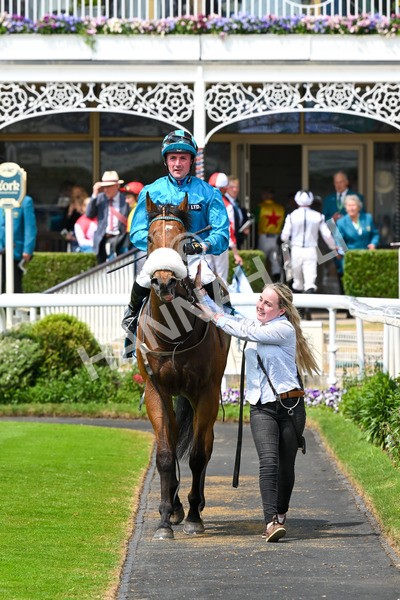 310525-Race 1-Ingleby Archie-8620 - Race 1 1.30pm William Hill Keep Your Raceday Positive Handicap