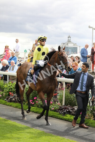 yr19082022r4-43 - Race 4 3.35pm Coolmore Wootton Bassett Nunthorpe Stakes (British Champion Series Race)