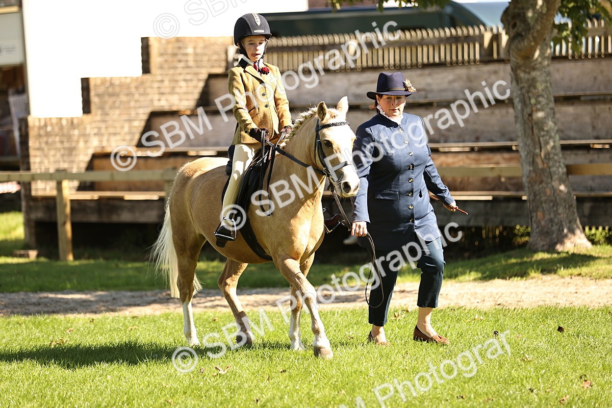 SBM_19302 - S3 - TSR Ridden Pony Showing