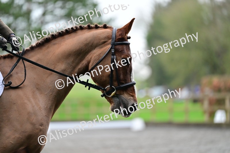 20260125-2460 - Class 11 - Grassroots