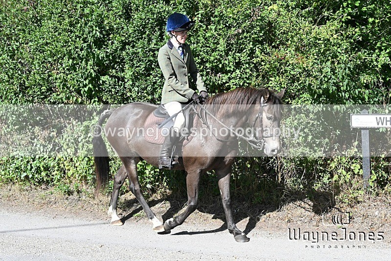 WJ7_0430 - Berks & Bucks - Hound Exercise – Kennels 06-09-26
