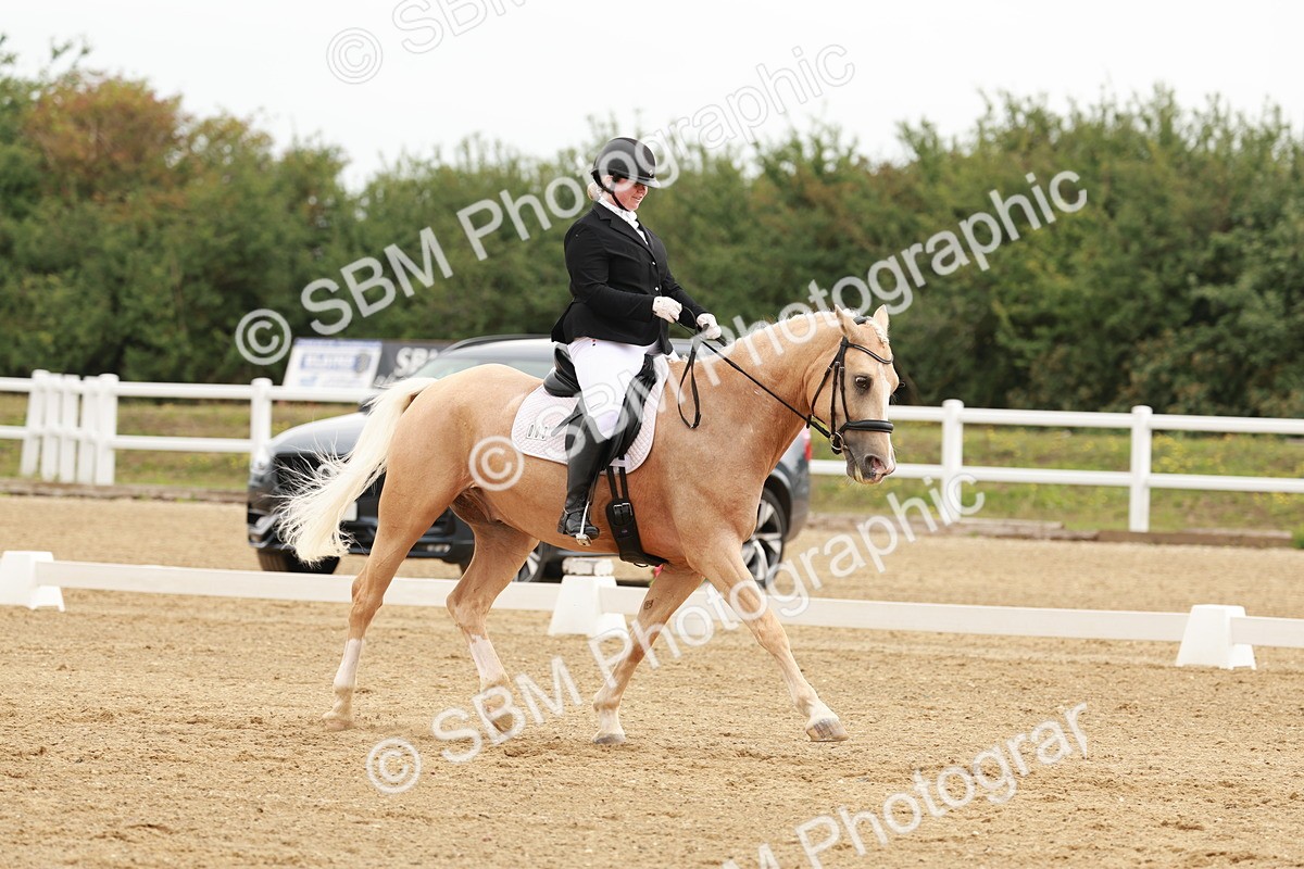 SBM_009141 - Class 12 - Elementary 6 - 9.30-10.34