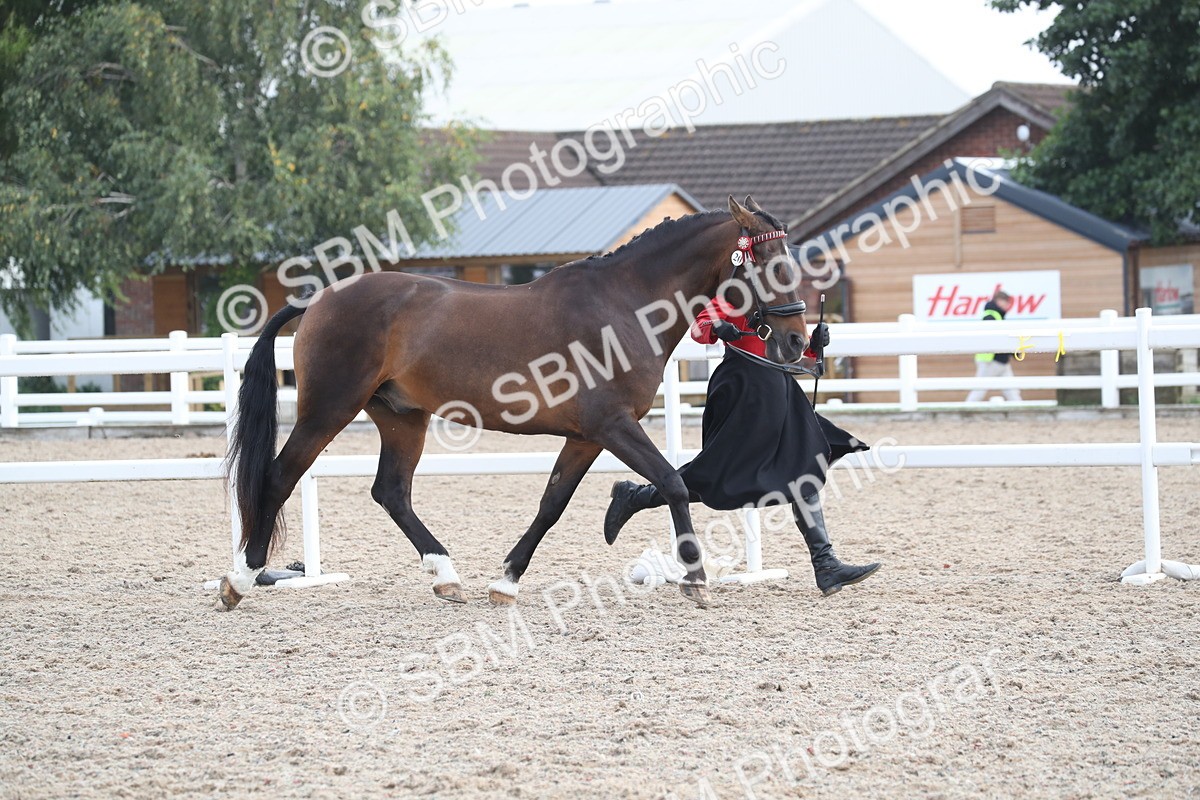 SBM_23064 - Class 605 - 2025 Area - IH Veteran