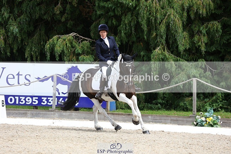 230812-140435-04375 - Cls 5 Novice Bronze 13.40 to 14.45 break