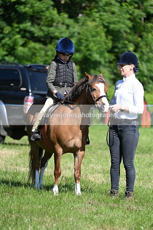 WJ7_0400 - Class 8 First Rally Pony