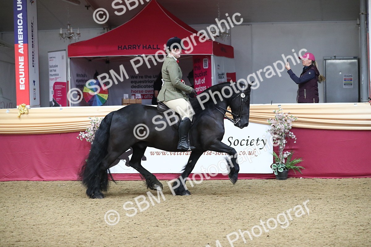 SBM_10473 - Class 102 Equitation (best rider) Adult