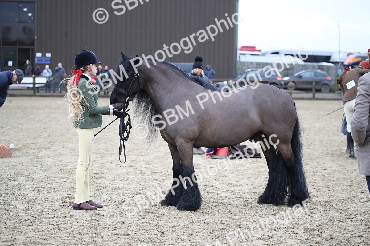 SBM_006179 - Class 10-13 - RIHS Small Large Breeds
