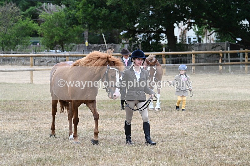 WJ7_8048 - Class 4 Prettiest Mare up to 14.2hh