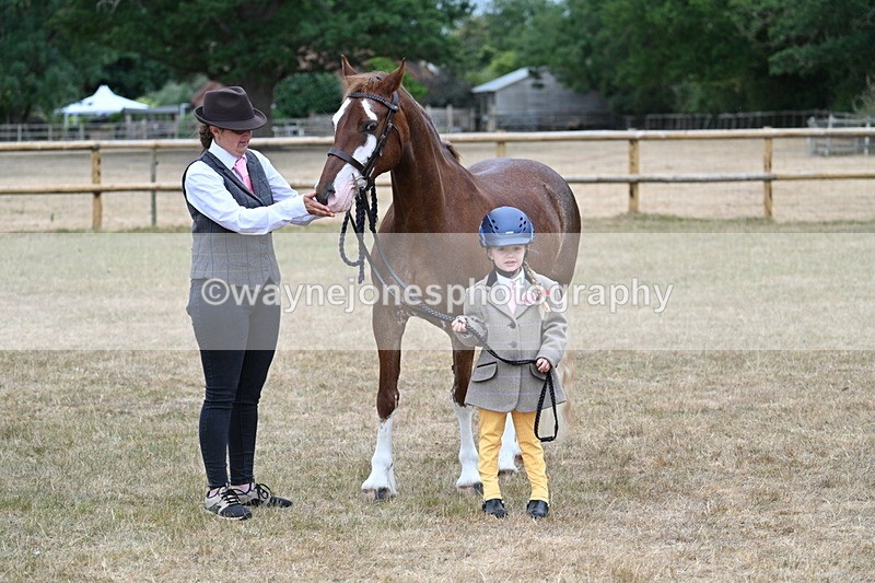 WJ7_9350 - Prettiest Mare Champs