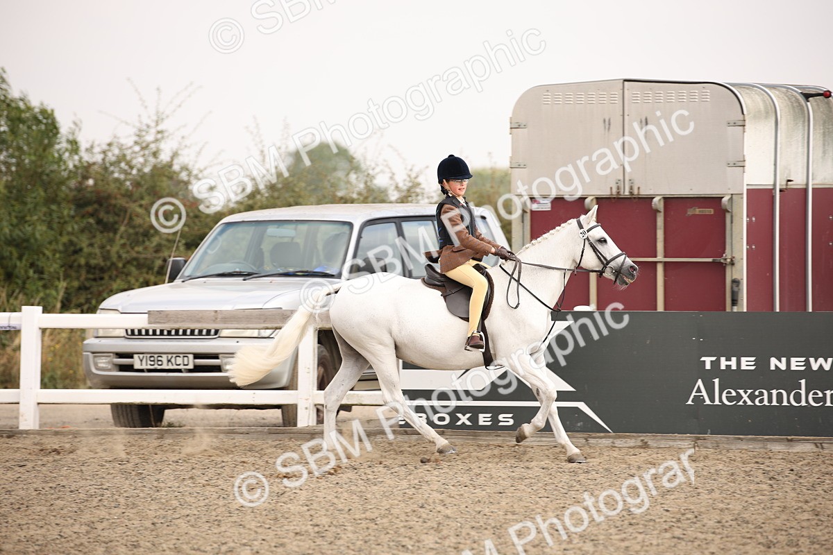 SBM_11652 - Class 404b Junior Working Veteran- 40cm(20+)