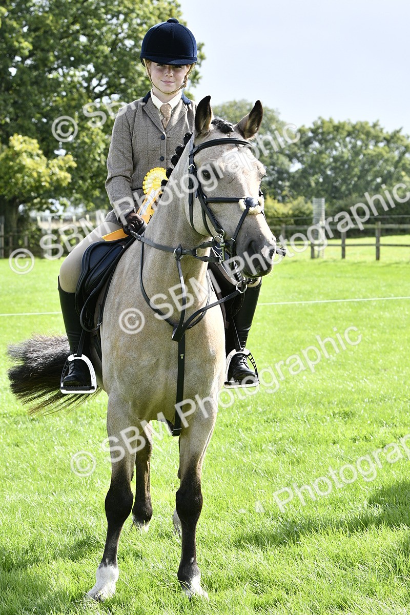SBM_41679 - S32 - Mountain & Moorland Working Hunter Pony