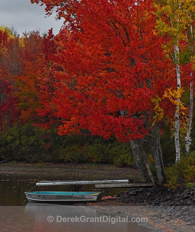 Autumn Foliage New Brunswick Canada Fall Colors - Autumn Foliage