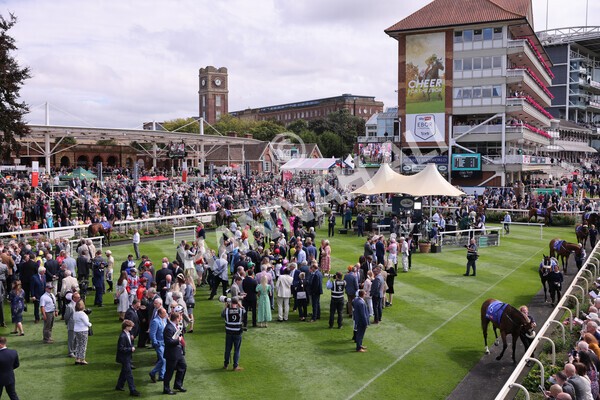 yr17082022r1-017 - Race 1 1.50pm Sky Bet & Symphony Group Stakes