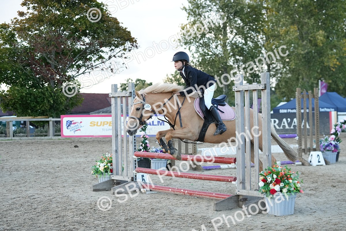SBM_54211 - Supreme Championship 60cm 65cm