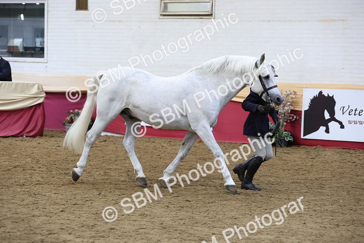 SBM_23650 - class 906 - Supreme Final - Ridden Pre Vet