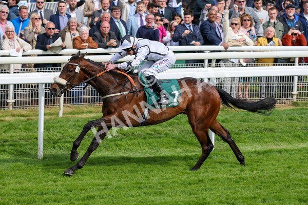 yr13052022r5-19 - Race 5 4.10pm Paddy Power 'Fill Thi Boots' Stakes