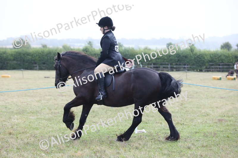 20250831-2431 - Class 16 - Family Pony