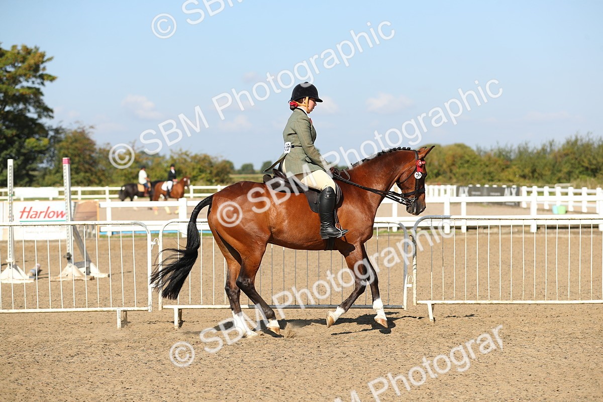 SBM_02214 - Class 43 Ridden Competition Horse/Pony