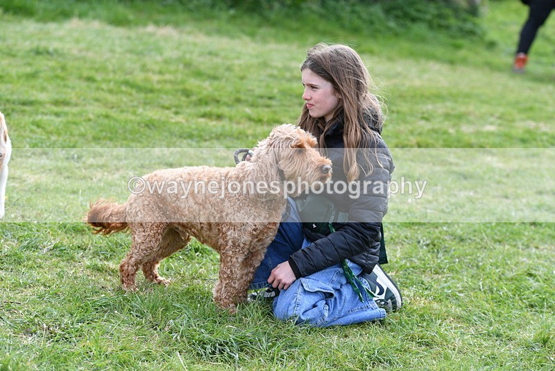 WJ5_0196 - Class 5 Best Veteran / 7 years & over