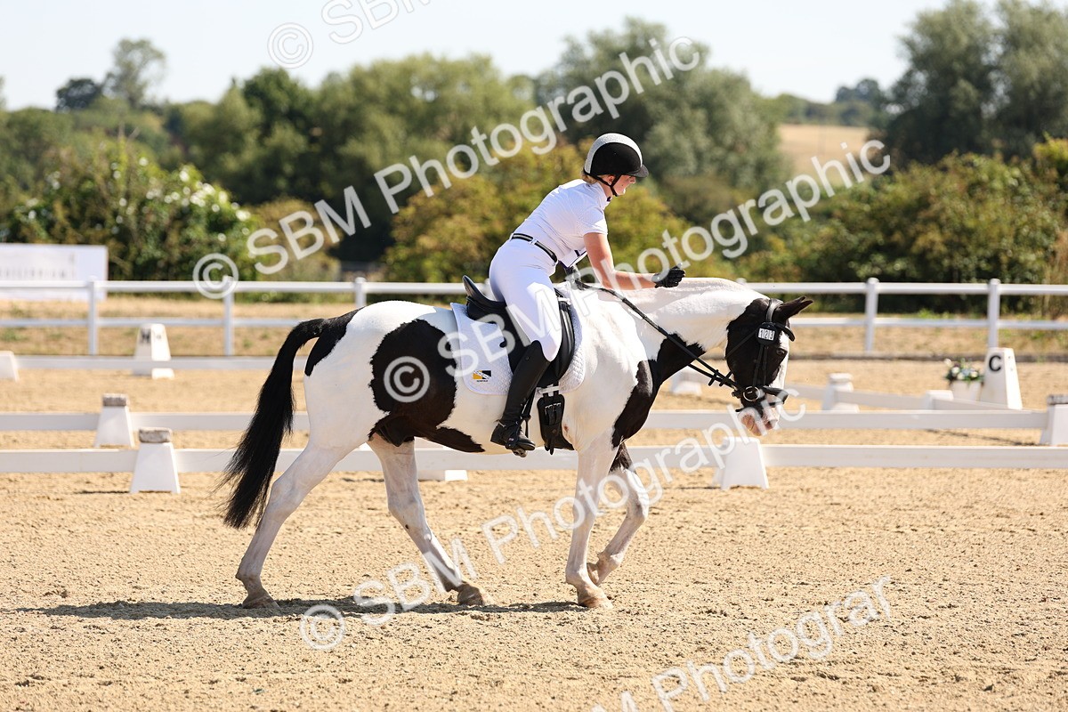 SBM_001012 - Intro 2