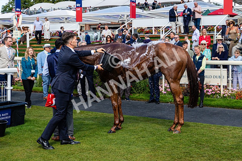 220826-Race 1-Archivist-0281 - Race 1 13.50pm Sky Bet Strensall Stakes