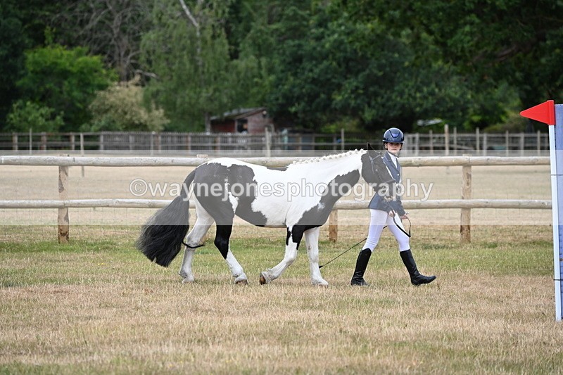 WJ6_4177 - Class 10 Coloured In-hand