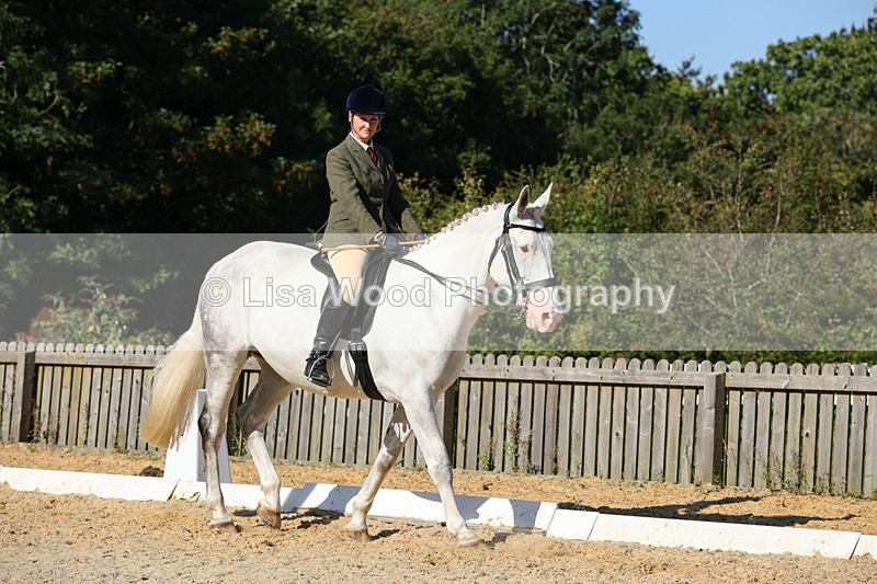 1X9A7700 - Class 9: Open Ridden Hunter