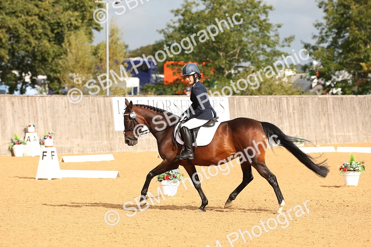 SBM_16163 - D10 - Small Tour Championship Prelim 2