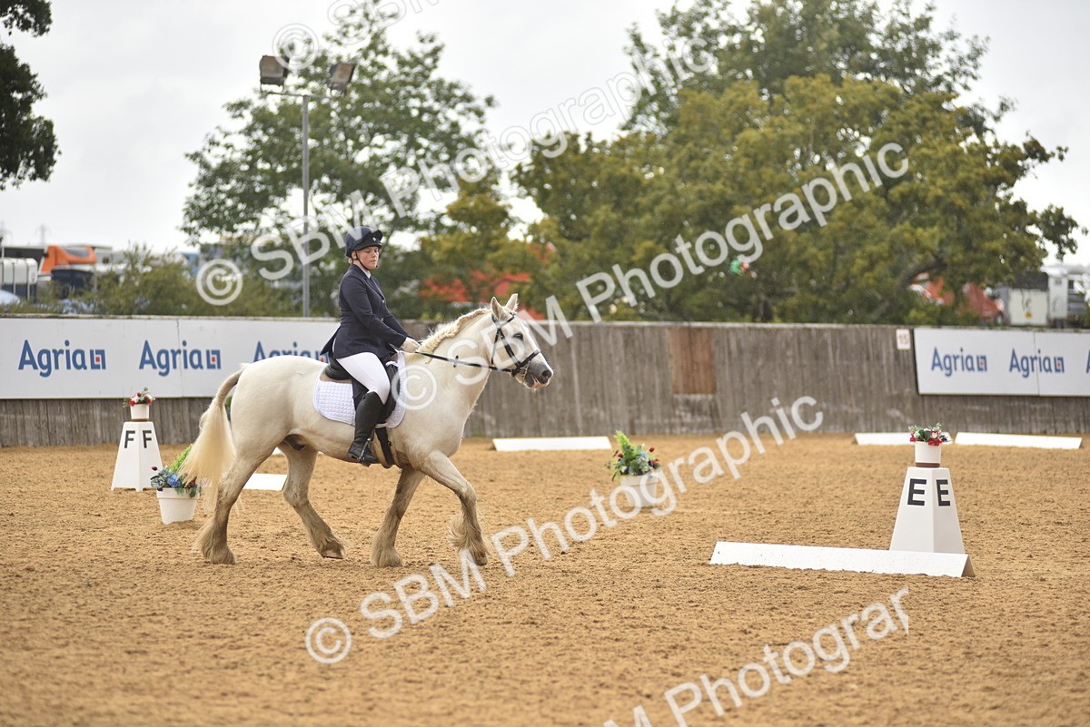 SBM_42421 - D22 - Junior Championship Intro 3