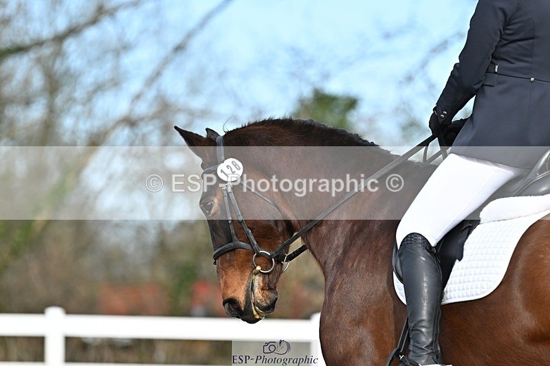 250125-124606-00478 - Dressage - CT Class 6 BE102