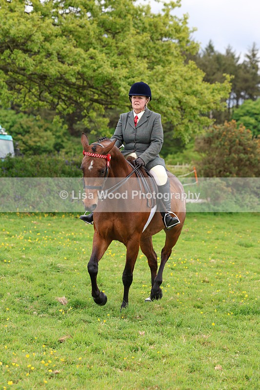 3E7A1998 - Class 10: Ridden Sports Horse