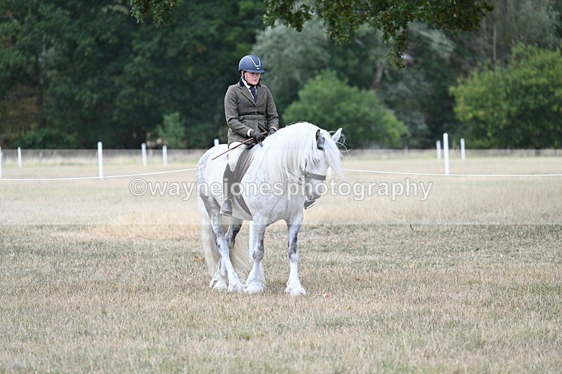 WJ7_4734 - Class 12 Ridden Cob