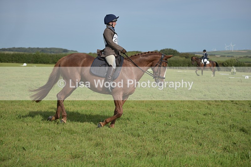 RAY_7869 - Class 2B: Trekenning Open: Dressage