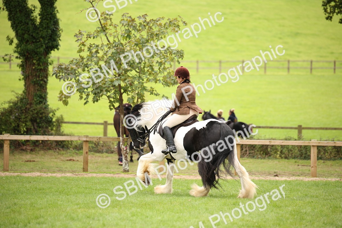 SBM_73518 - S68 - Traditional Cob Ridden