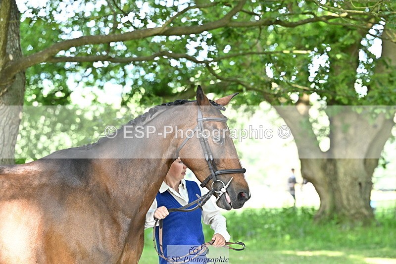 250521A-165730-01432 - C-274-Bizzy.Loffet-LONGBROOK.CHILLI.FLOWER
