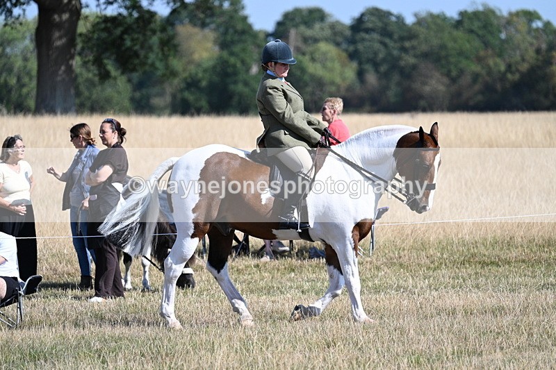 WJ7_3044 - Class 8 Ridden Tack & Turnout