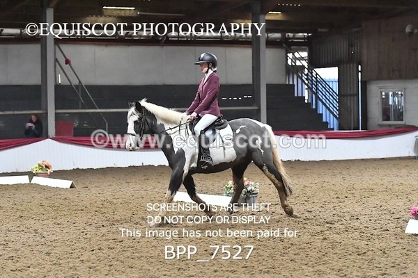 BPP_7527 - INTRO TEST 2