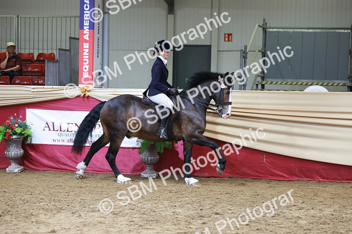 SBM_18566 - Class 952 - M&M Ridden Supreme Final