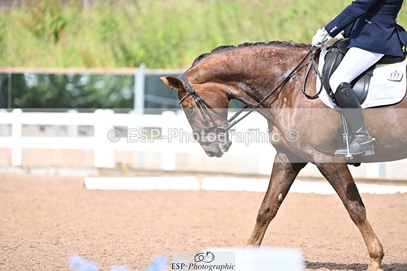 240622A-160433-12655 - Cls 35 BD Adv Medium 91