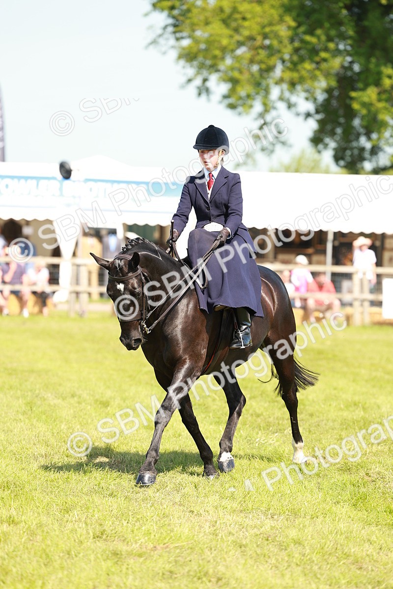 SBM_13330 - Class 70-71 - Side Saddle