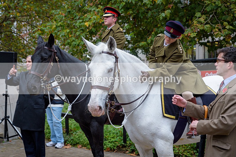 NGP_8170 - 2024 Animals in War Remembrance Gathering