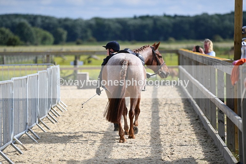 WJ5_7822 - Time 16:40 to 16:55