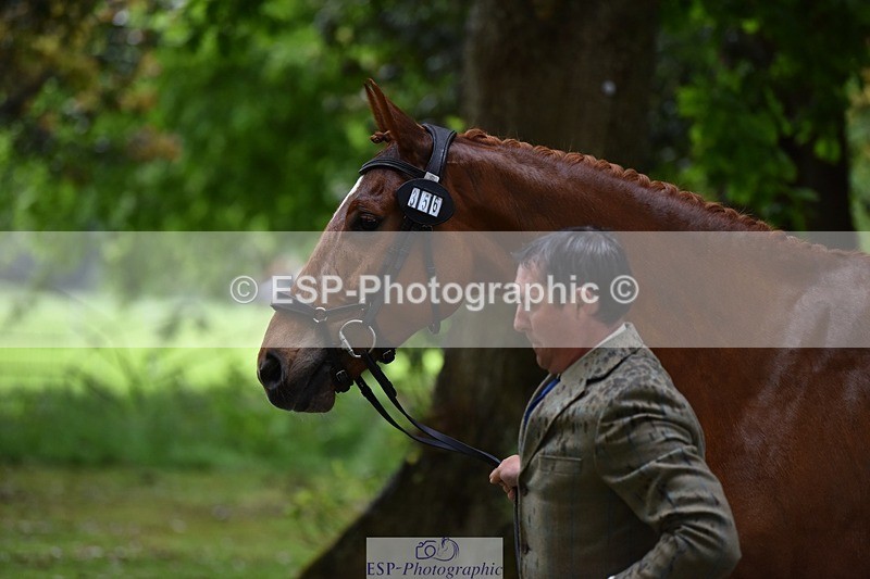 240522-152656-00350 - 356-CREEVAGHSTABLES_IFICUDIWUD-Tim_Cheffings