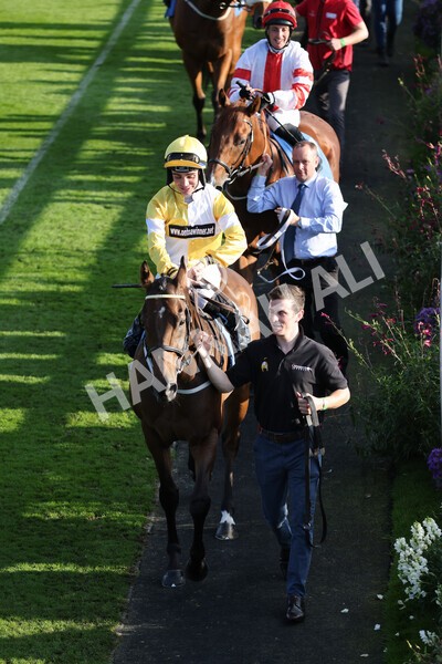 yr08102021r5-8 - Race 5 4.20pm Copper Knight - Winning Most Horse At York Handicap