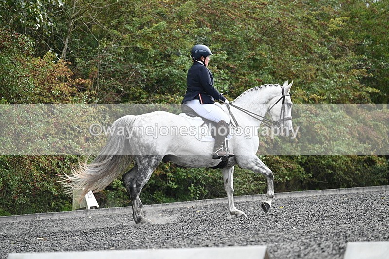 WJ7_6886 - Time 14:49 to 15:14