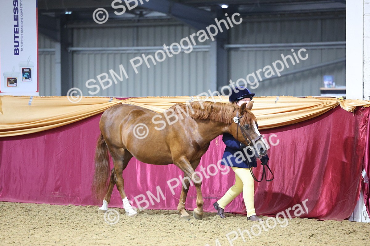 SBM_19580 - Class 901 - Supreme Final - IH Diamond