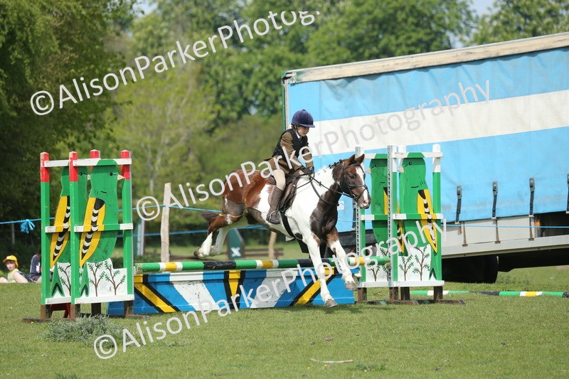 20260426-1780 - Class 14 - Novice 60cm