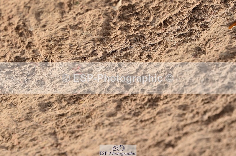 231015A-145946-08849 - Cls 26 1.05m Grand Prix