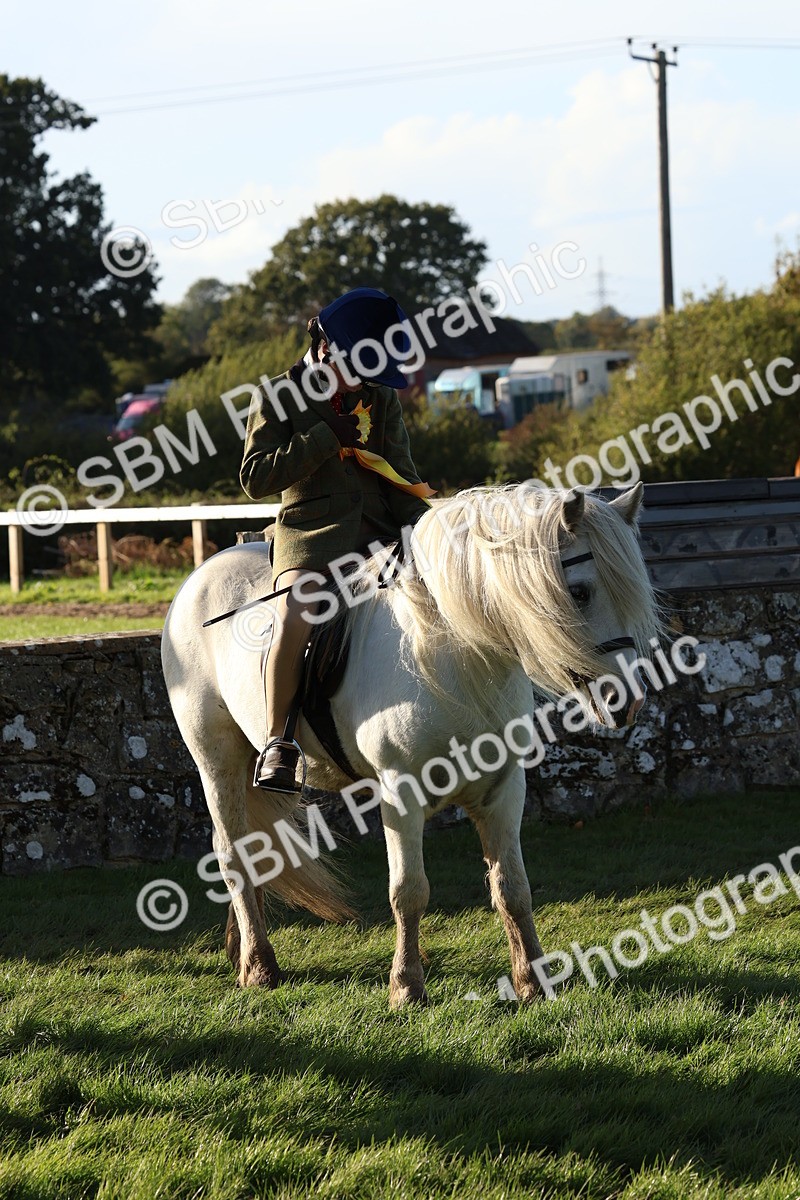 SBM_52682 - S13 - Pony Club Pony